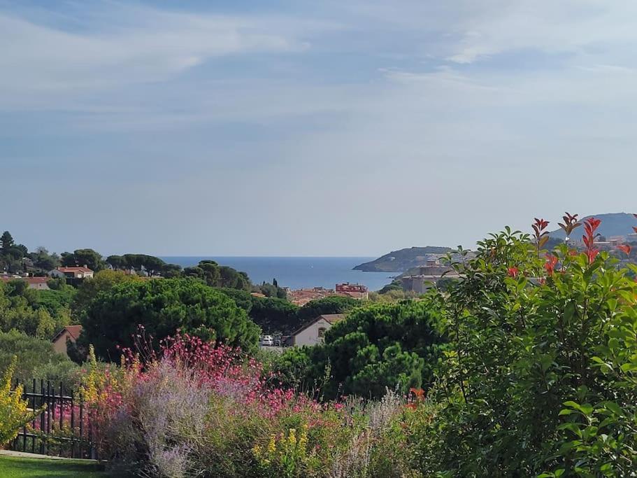 Aux Vents Du Sud Apartment Collioure Exterior photo